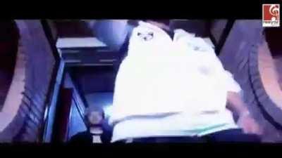 Does anybody know the lyrics of the song?