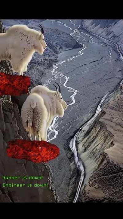 The Double Scouts watching the team get swarmed