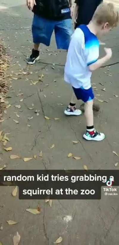 Squirrel bites kid.