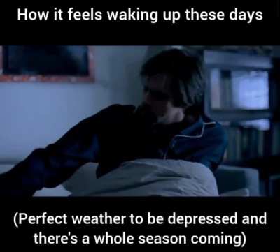 I understand why animals hibernate