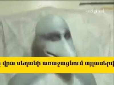 sharktale be like 😳 😳 😳