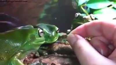 Today’s Advanced-Dinner-Skills demonstration is by Gumby.