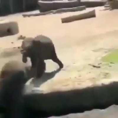 This is what friends are for!