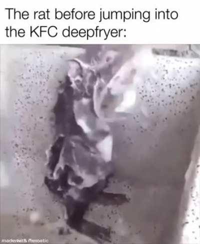 Rat is cleaner than food