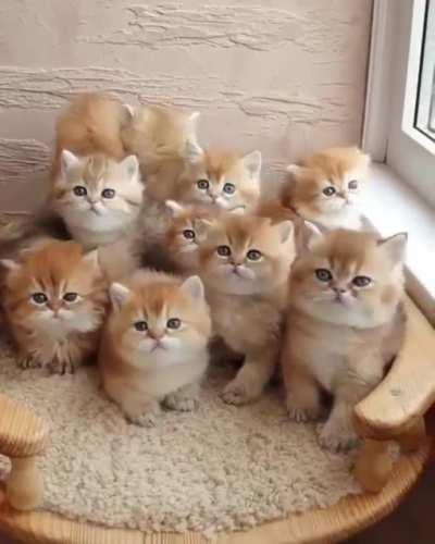 The ones in the back of the classroom never pay attention