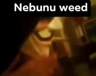 Iarbă 420 kush din Călărași anonymous ediție ⛽🔥🌿