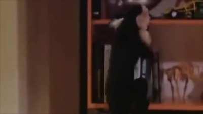 this fits so well 🤣