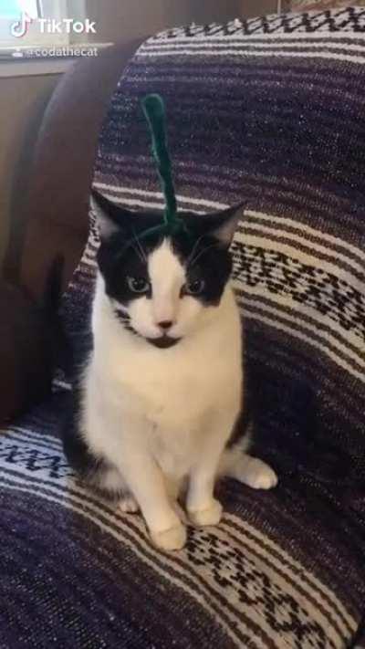 Po has seen some shit