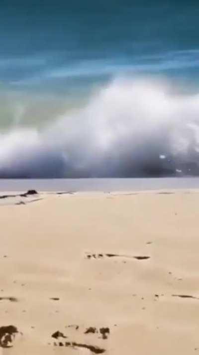 HMC While I ride this wave