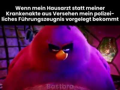 Ich war zu basiert (meine Memes haben es sogar ins Verfassungsgericht geschafft)