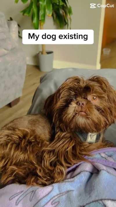 My world ðð©µ