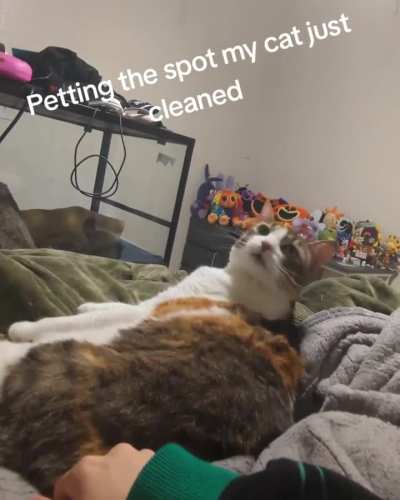 Wunk will have his patience tested