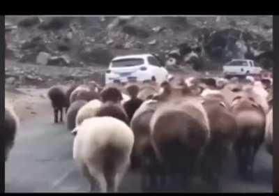 Dont ask for the sauce