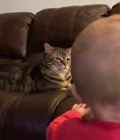 "You've got to be kidding me...."