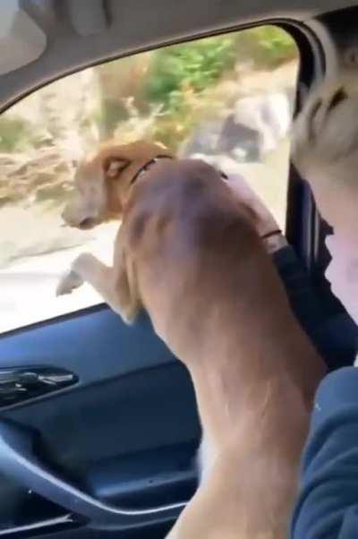 Are we nearly there yet..