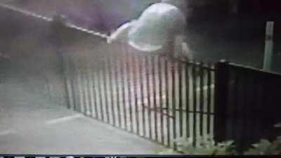 Fat guy attempts to hop spiked gate