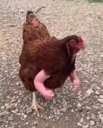 Has dicho algo en contra de Israel?