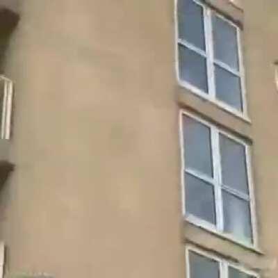 Not one person tried to catch it.