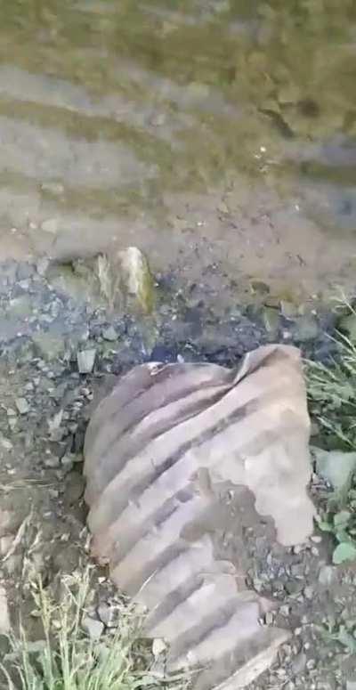 We all float down here