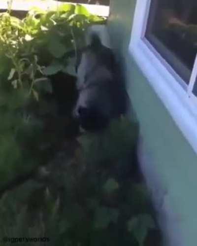 an oscar award goes to...