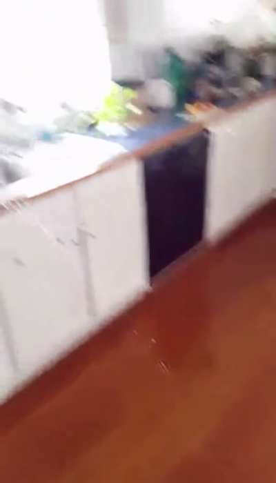 Wild mom decorating her kitchen 