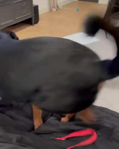 Looks real everything sometimes