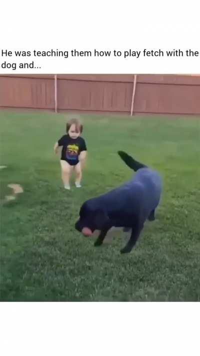 Teaching how to play fetch with the dog.
