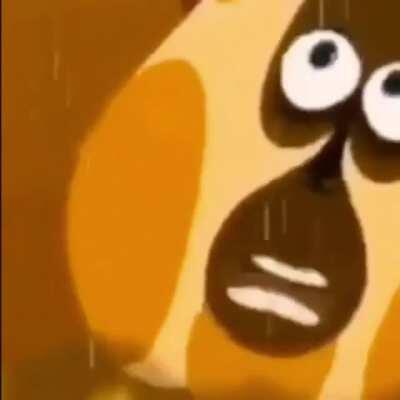 Look, here is funny monkey meme to distract you from all of the hentai.