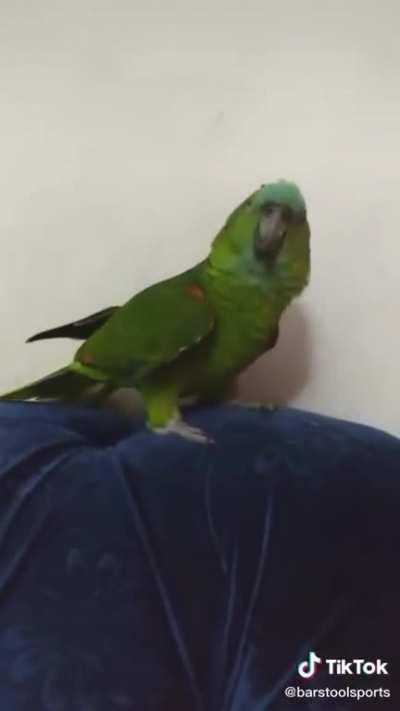 “If I Were a Boy” by Birdyoncé