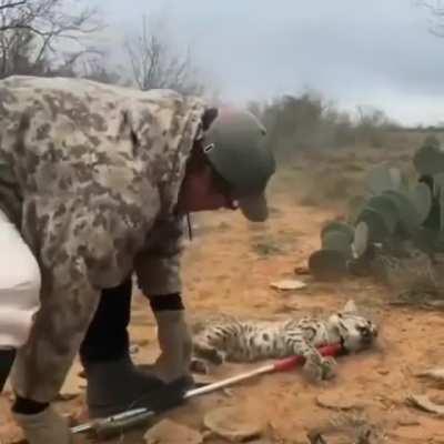 I mean, the balls on this guy. Wow