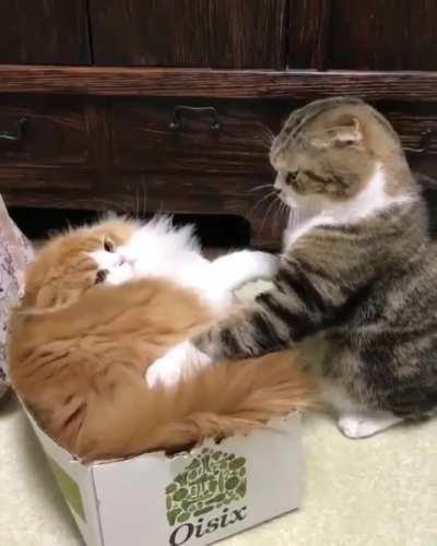 DONT ...........TAP..........MY...........BUTT!!!!!!!!!!