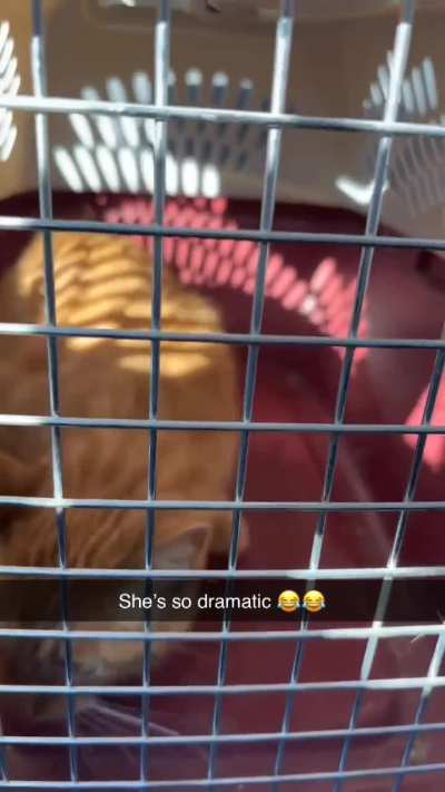 She doesn't want to go to the vet