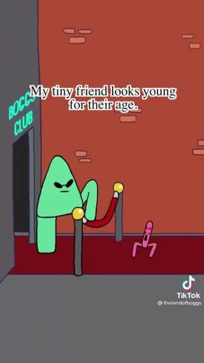 The land of boggo and mp.