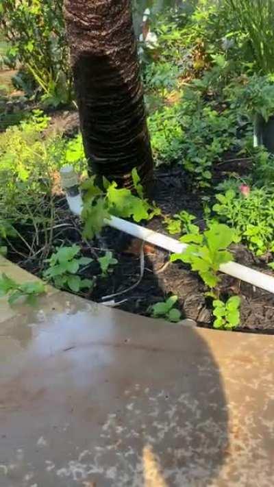 When the homeowner says he’s an engineer…