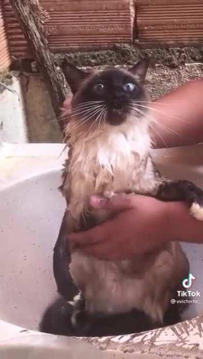 Nesse frio, eu não tiro a razão da Estelinha, não.