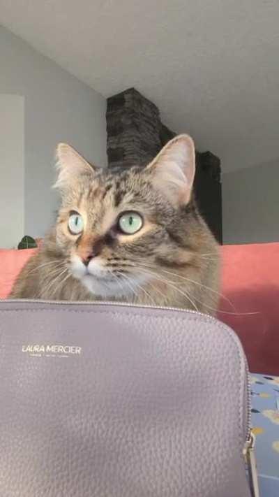 Every morning with Tado