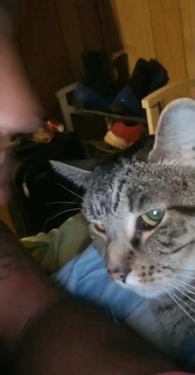 Son was in a bad mood. Requires much attention and kissins