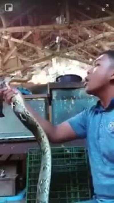 don't fuck with snakes