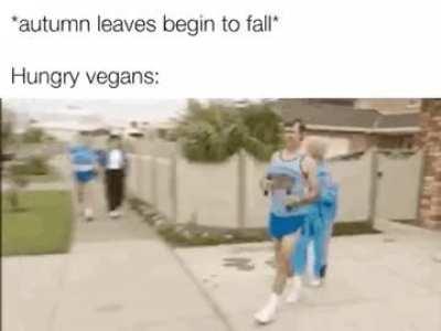 Dinner is served, chaps.