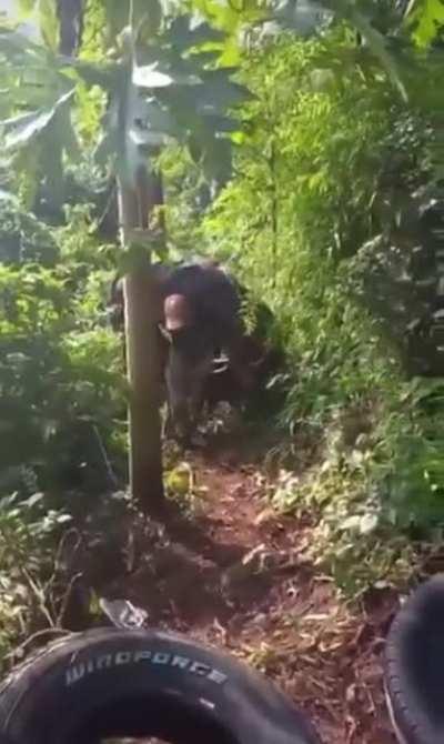 Una buena: se reactivo la importacion de neumaticos