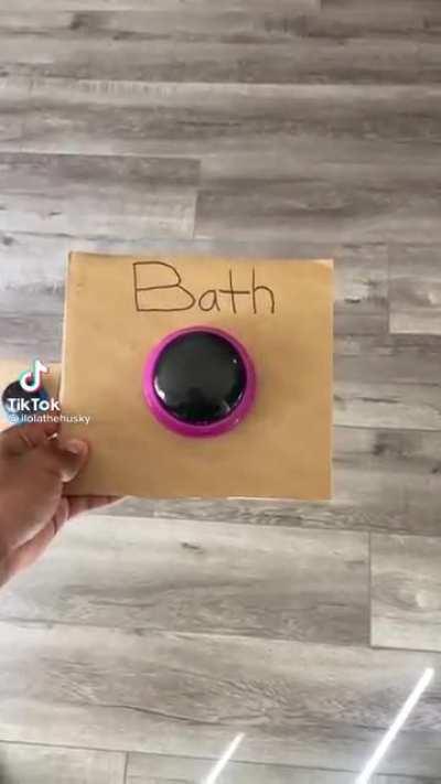 In case you were wondering what would happen if your dog could talk