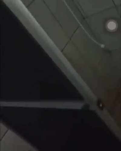 O final esplêndido.