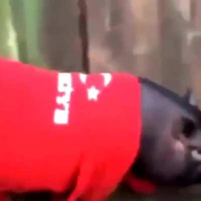 Erdogan🇹🇳🇹🇳🇹🇳