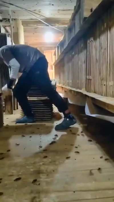 China has started accepting Turkish immigrants