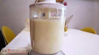 Grow lotus from seed on container and cooking it at home