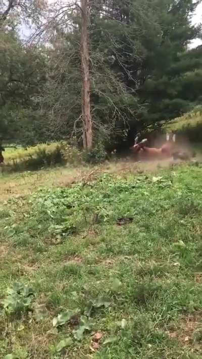 He thought he was a dirt bike lol