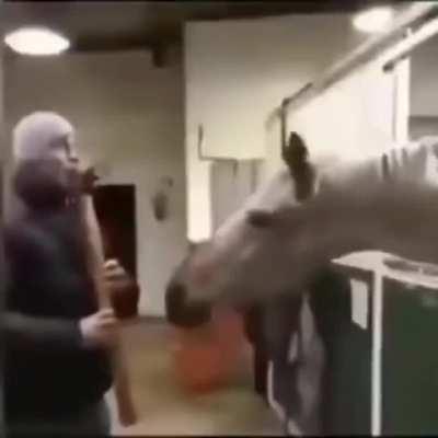 Jerma brain on smart boosters