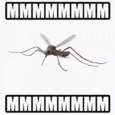 Certified hood classic 