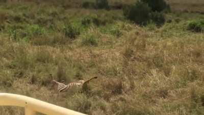 mom gives everything for you