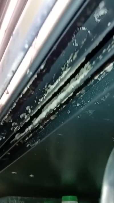 Mould in the milk cabinet in Tesco Stornoway.